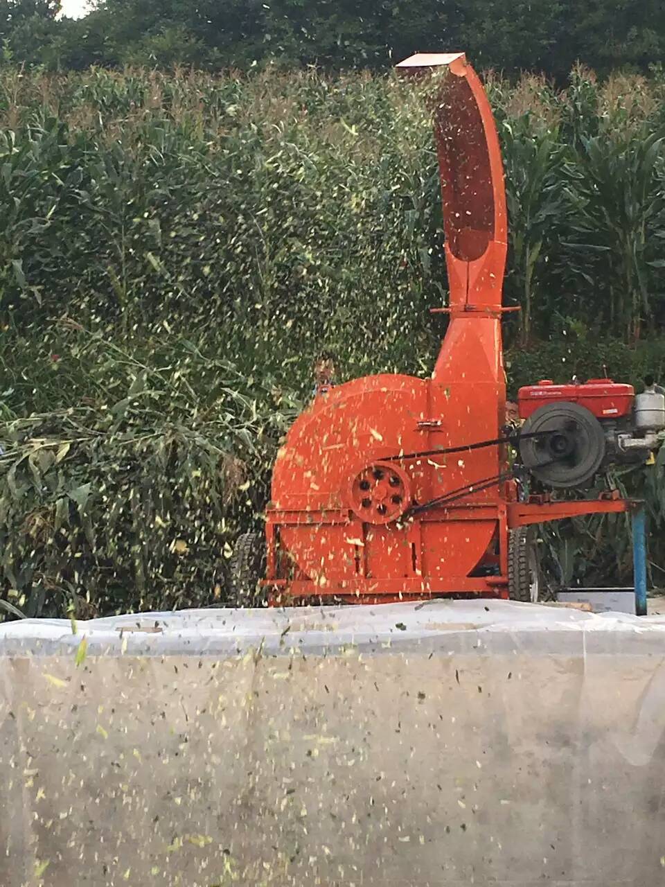云南大型10噸鍘草揉絲機視頻